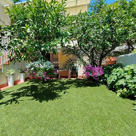 Apartments Gareta Gradac  Dış mekan fotoğraf